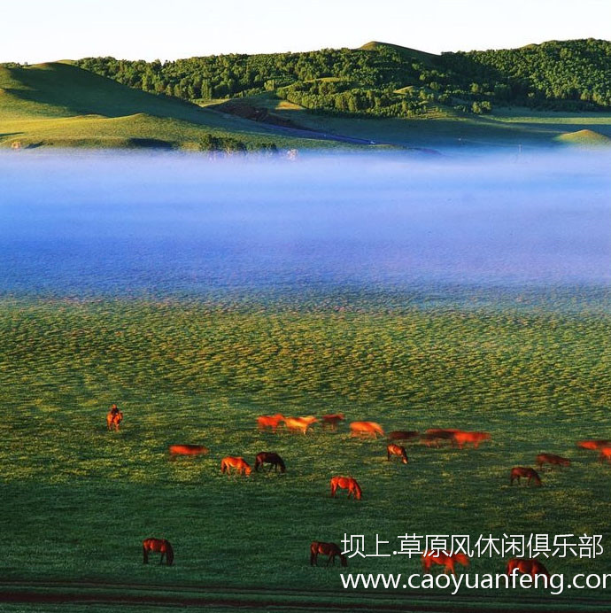 壩上風(fēng)光美景之春季攝影 壩上風(fēng)光美景之春季攝影