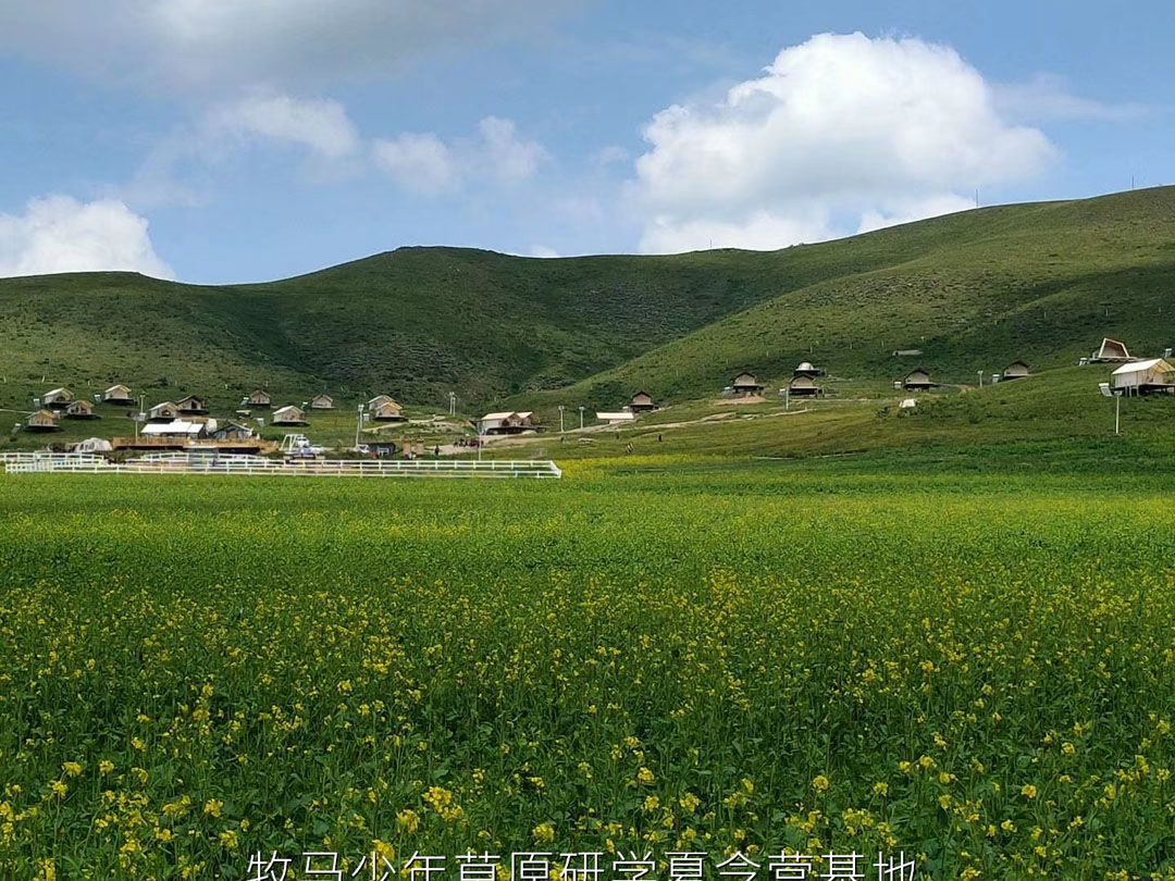 唐山蠢魚親子書屋草原夏令營