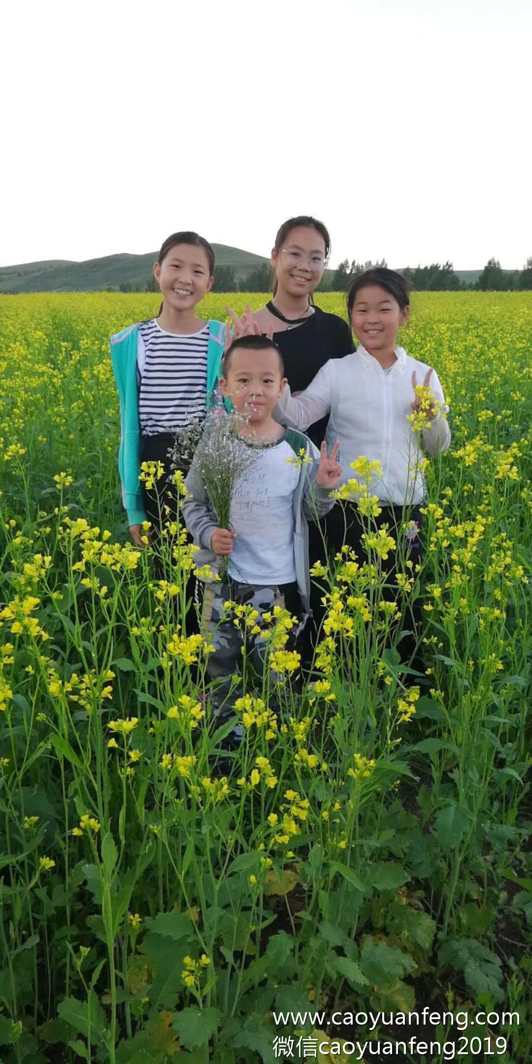蠢魚親子書屋草原夏令營(yíng)