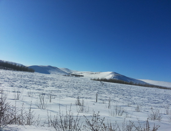 豐寧壩上草原雪景篇