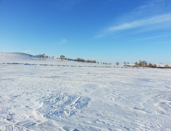 豐寧壩上草原雪景篇