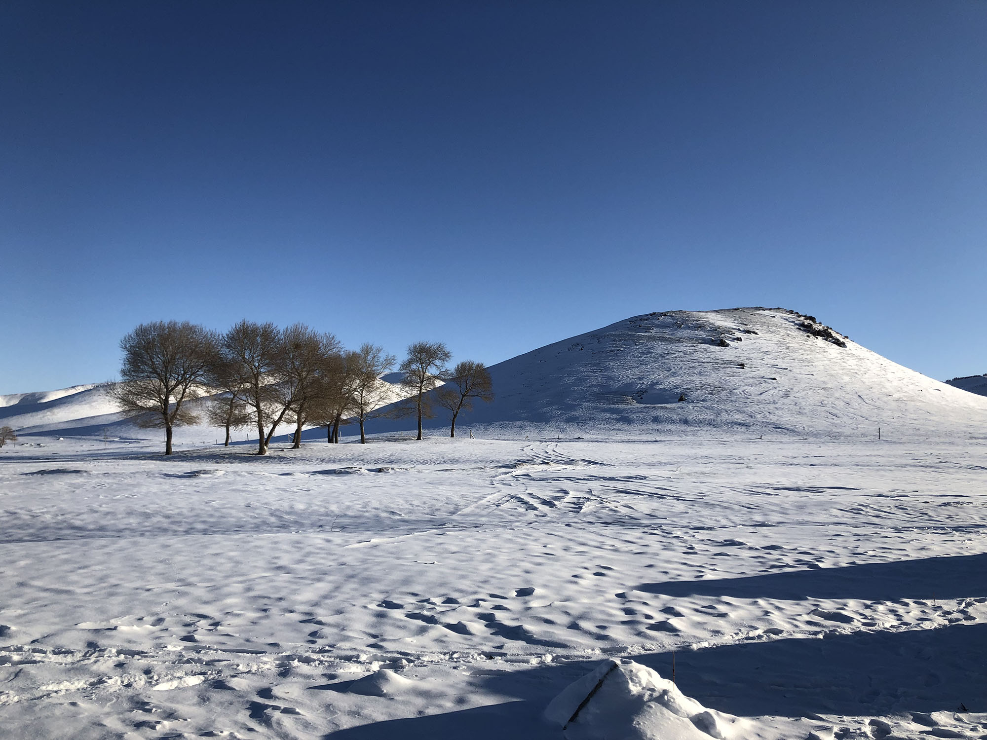 壩上冬季野外雪地扎營