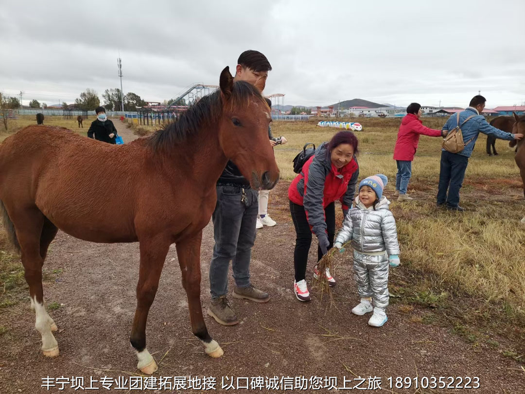 永豐二鍋頭豐寧壩上團(tuán)建2日游