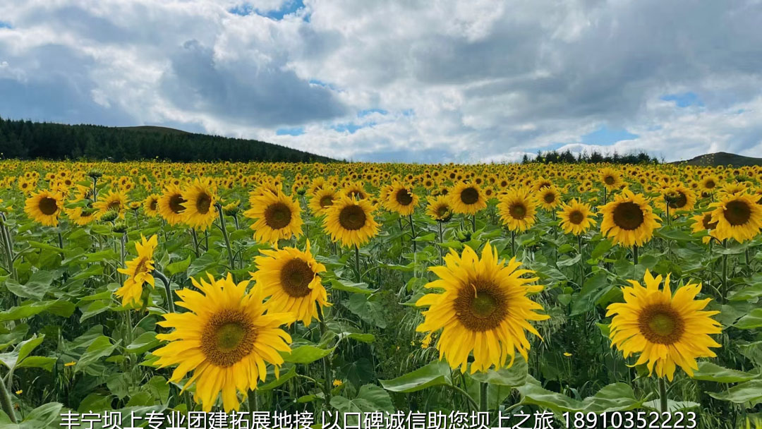 永豐二鍋頭豐寧壩上團(tuán)建2日游