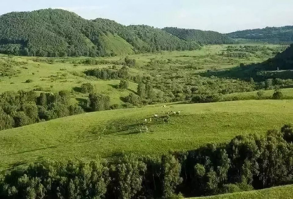 國家一號風(fēng)景大道