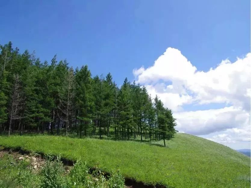 國家一號風(fēng)景大道