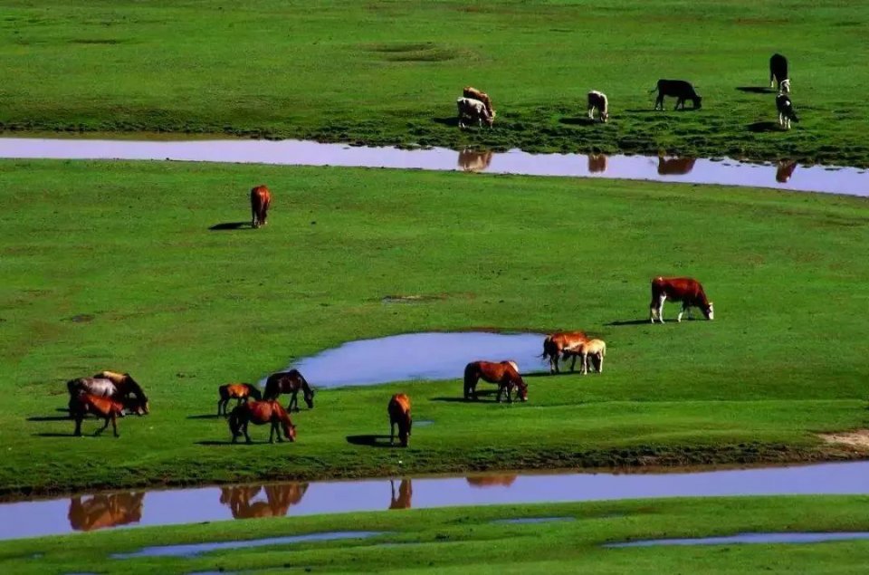 國家一號風(fēng)景大道