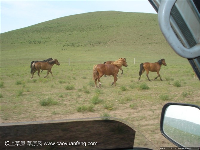 壩上旅游第一天