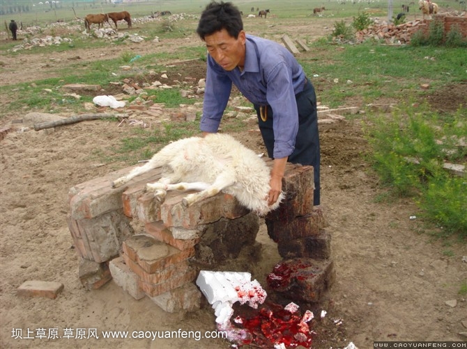 壩上旅游第一天