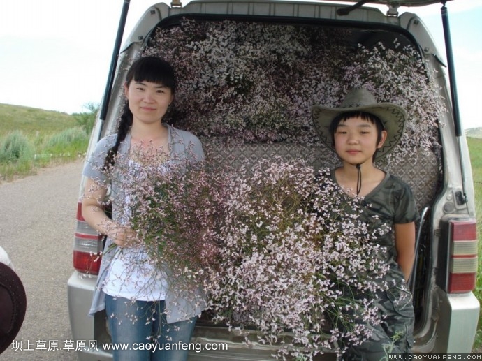 壩上旅游第三天