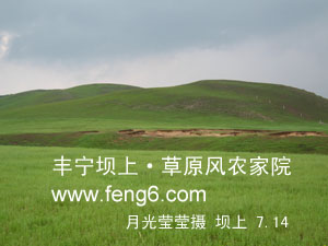 豐寧壩上草原風(fēng)景