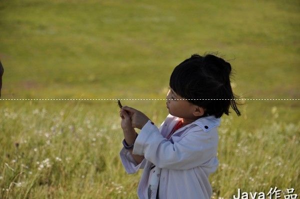 豐寧壩上景點圖片