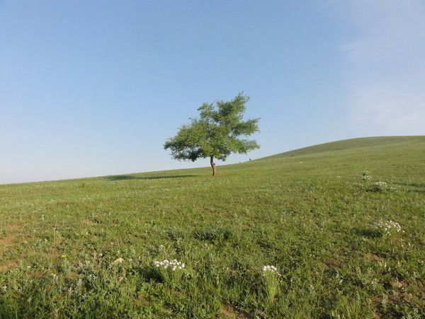 豐寧壩上自助游圖片