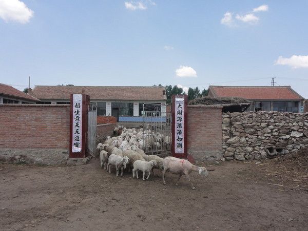 豐寧壩上旅游攻略圖片