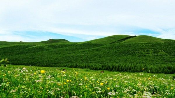豐寧壩上旅游攻略圖片
