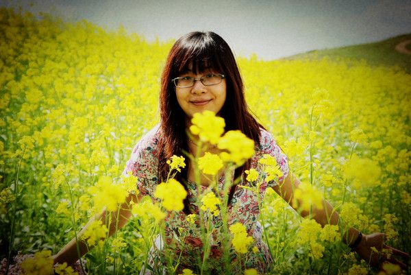 豐寧壩上圖片