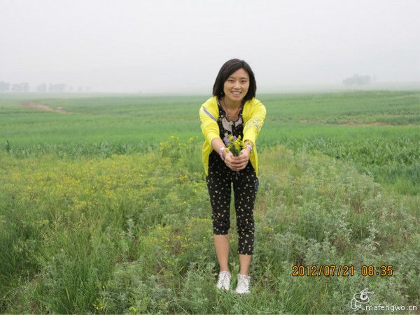 豐寧壩上自助游圖片