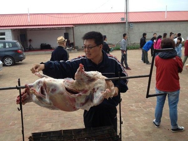 豐寧壩上景點圖片