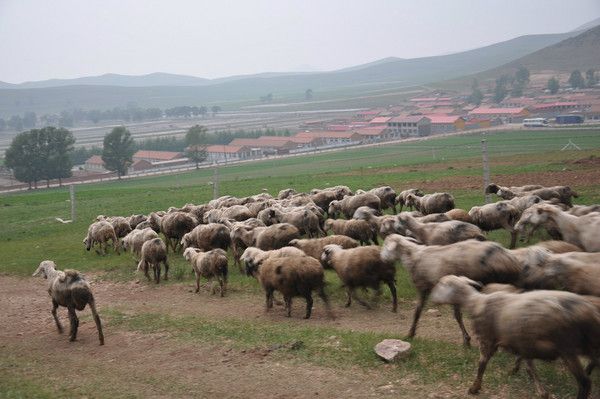 豐寧壩上旅游攻略圖片