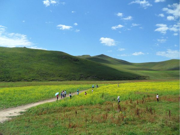 豐寧壩上旅游攻略圖片