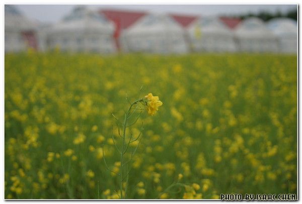 豐寧壩上旅游攻略圖片