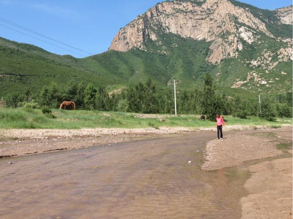 豐寧壩上自助游圖片