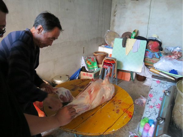 豐寧壩上景點圖片