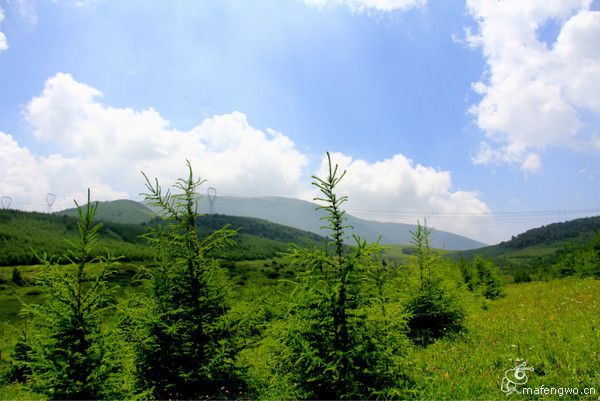 豐寧壩上旅游攻略圖片
