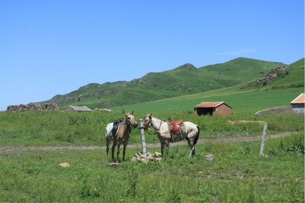 豐寧壩上旅游攻略圖片