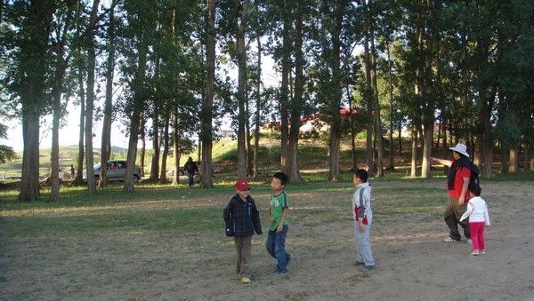 豐寧壩上自助游圖片
