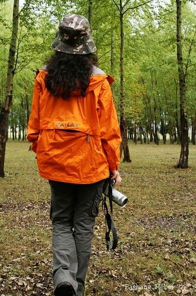 豐寧壩上旅游攻略圖片