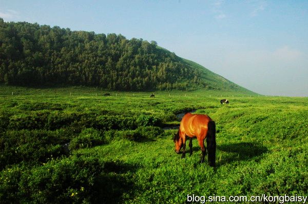 自由客(太 原)：壩上一瞥