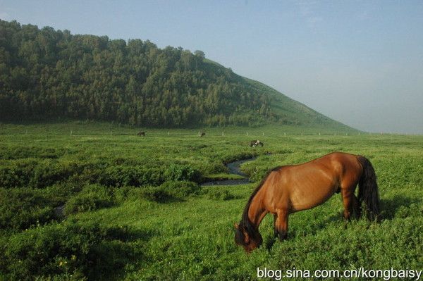 豐寧壩上旅游攻略圖片