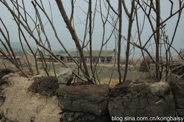 豐寧壩上自助游圖片