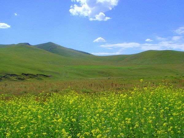 豐寧壩上自助游圖片
