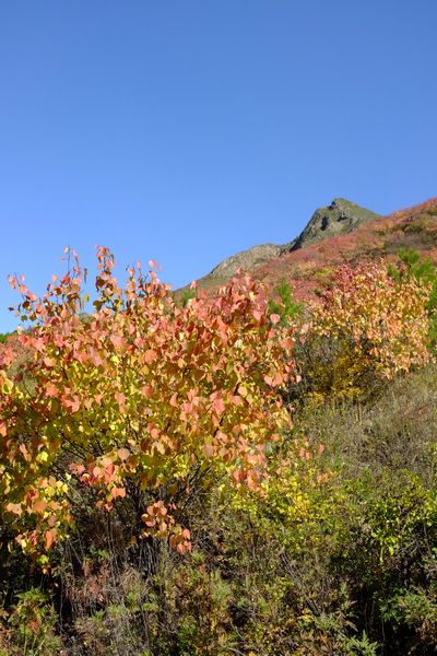 豐寧壩上景點(diǎn)圖片