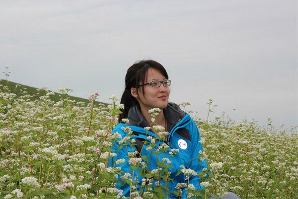 豐寧壩上自助游圖片