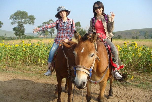 豐寧壩上自助游圖片