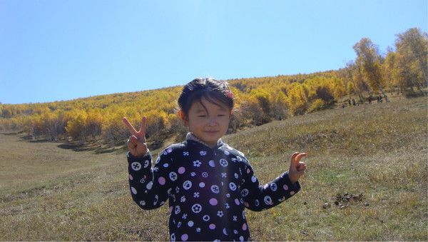 豐寧壩上圖片