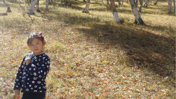 豐寧壩上自助游圖片