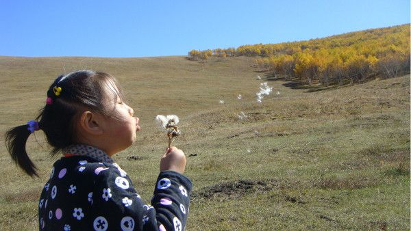 豐寧壩上圖片