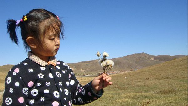 豐寧壩上自助游圖片