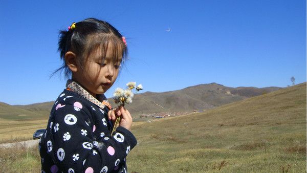 豐寧壩上圖片