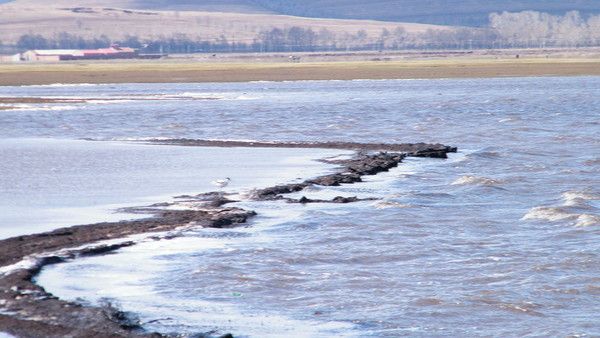 程強(qiáng)(北京)：壩上