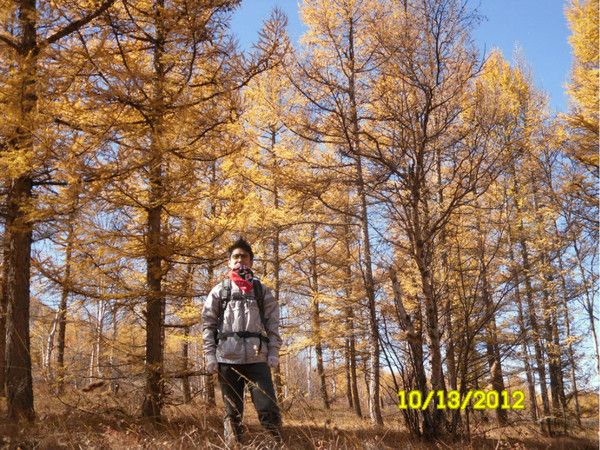豐寧壩上旅游攻略圖片