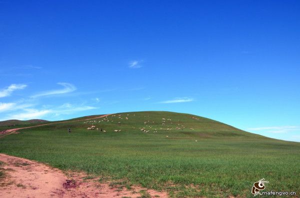 豐寧壩上旅游攻略圖片