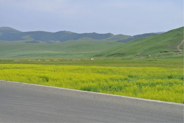 豐寧壩上自助游圖片