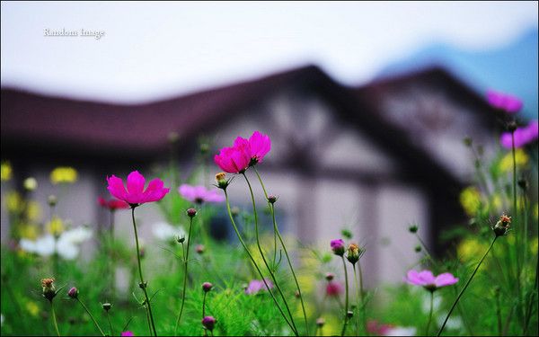豐寧壩上景點(diǎn)圖片