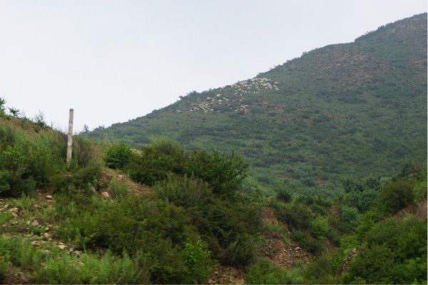 豐寧壩上旅游攻略圖片