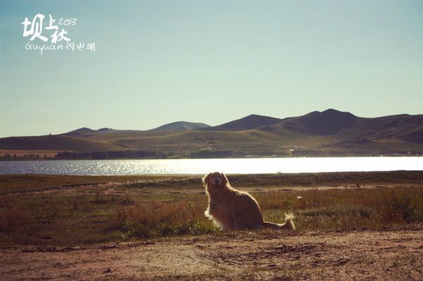 豐寧壩上旅游攻略圖片